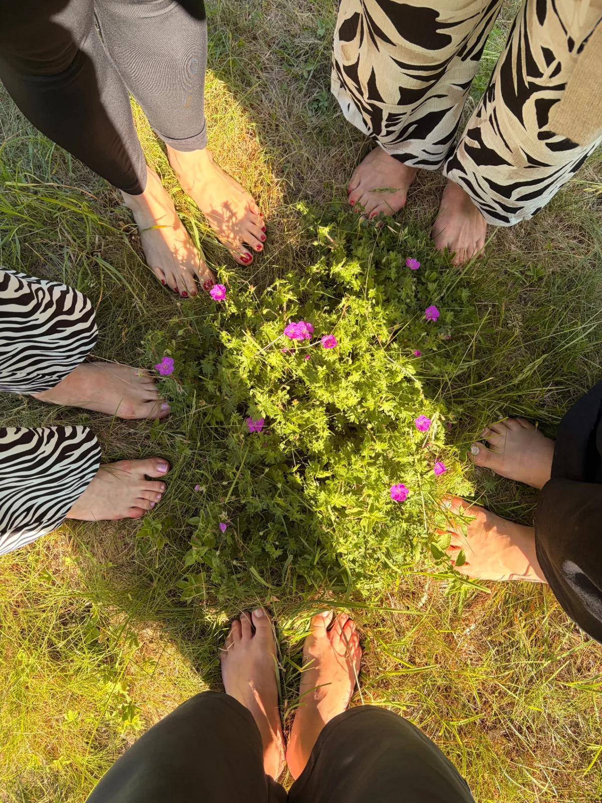 Vier Frauen stehen barfuß im Gras im Kreis um wilde Blumen.